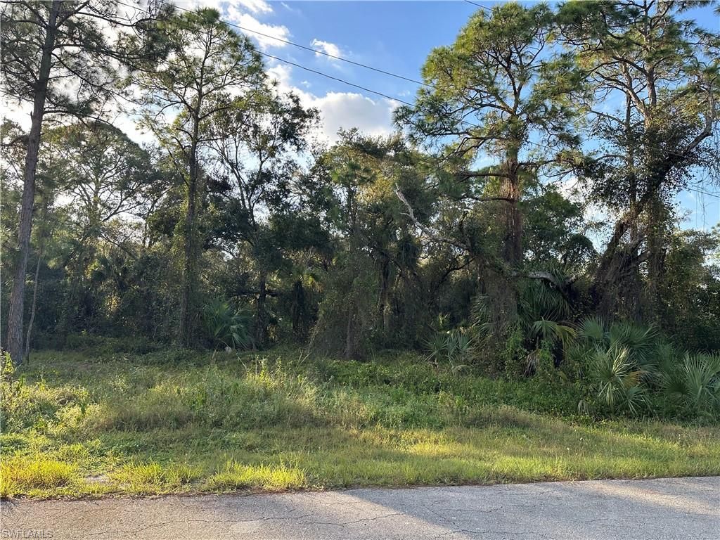 1713 Greenwood AVE, LEHIGH ACRES, FL 33972 — photo 5