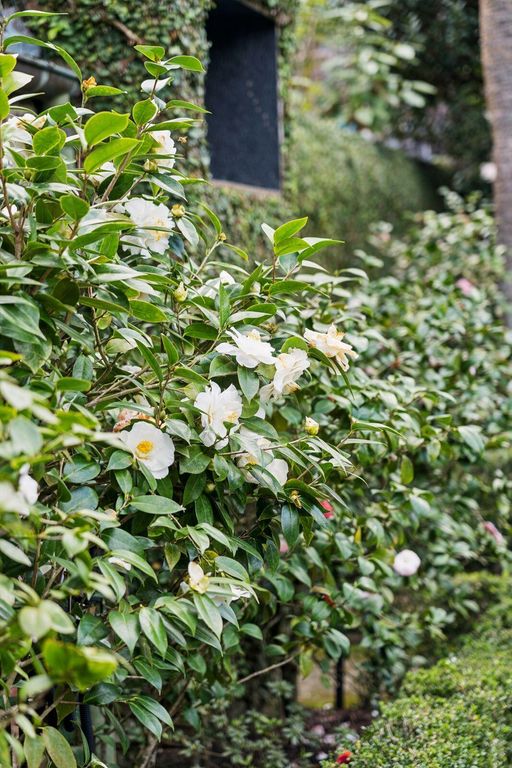 Image 41 of property listing at 12 A Bedons Alley, Charleston, SC 29401