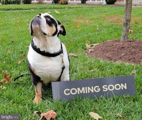 2501 CATOCTIN CT #5 1D, Frederick, MD 21702