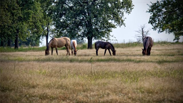 5775 Old Vashti Road, Bowie, TX 76230