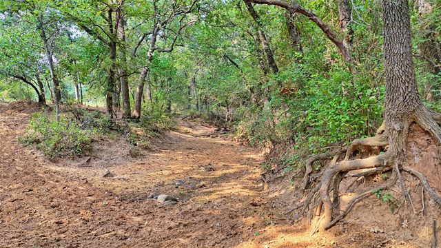 5775 Old Vashti Road, Bowie, TX 76230