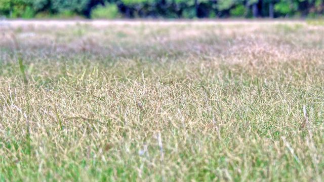 5775 Old Vashti Road, Bowie, TX 76230