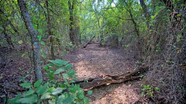 5775 Old Vashti Road, Bowie, TX 76230