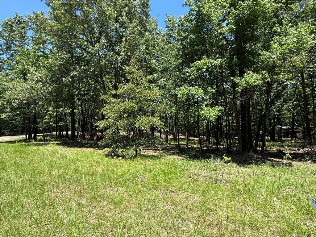 TBD PR 5861 (LOT 2), Yantis, TX 75497