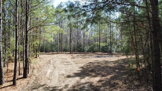 TBD Green Sea Rd., Green Sea, SC 29545