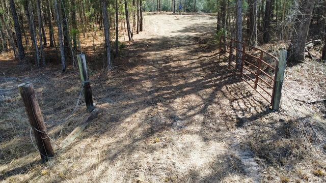 TBD Green Sea Rd., Green Sea, SC 29545