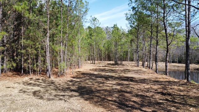 TBD Green Sea Rd., Green Sea, SC 29545