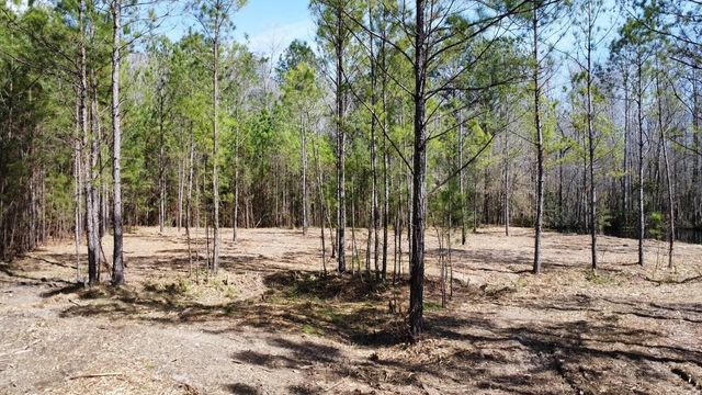 TBD Green Sea Rd., Green Sea, SC 29545