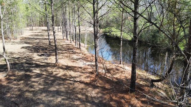 TBD Green Sea Rd., Green Sea, SC 29545