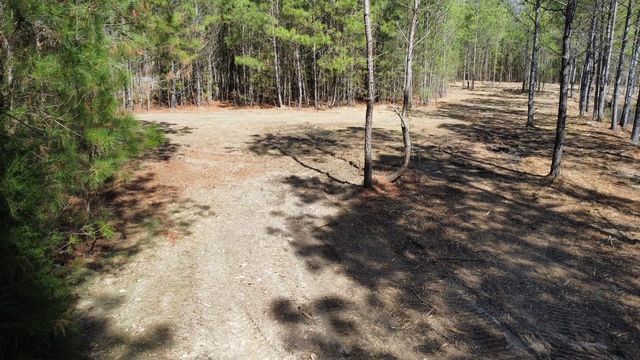 TBD Green Sea Rd., Green Sea, SC 29545