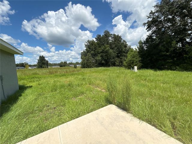 9 MALAUKA LOOP LANE, Ocklawaha, FL 32179