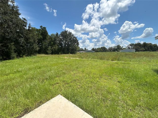 9 MALAUKA LOOP LANE, Ocklawaha, FL 32179