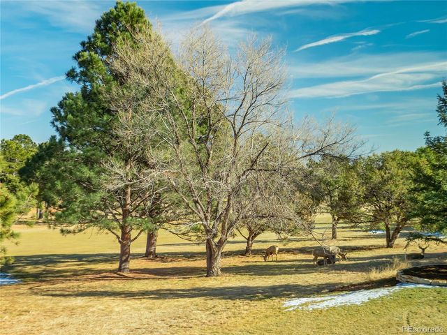 3655 Camel Grove, Colorado Springs, CO 80904