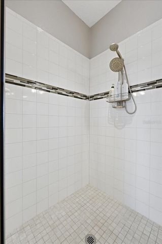 333 MEADOW POINTE DRIVE, Haines City, FL 33844