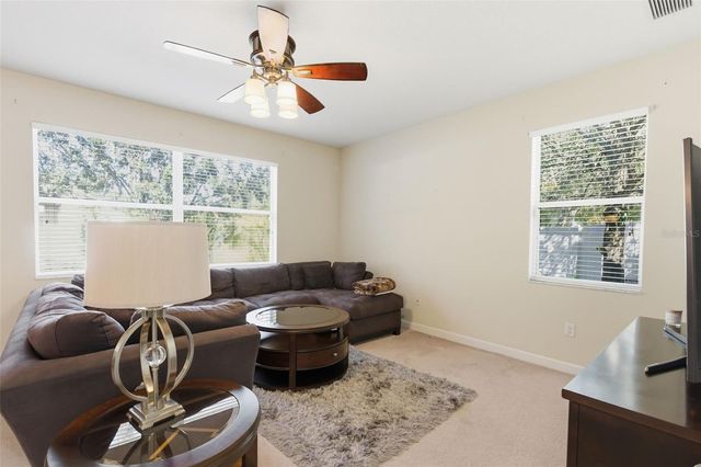 13801 CHALK HILL PLACE, Riverview, FL 33579