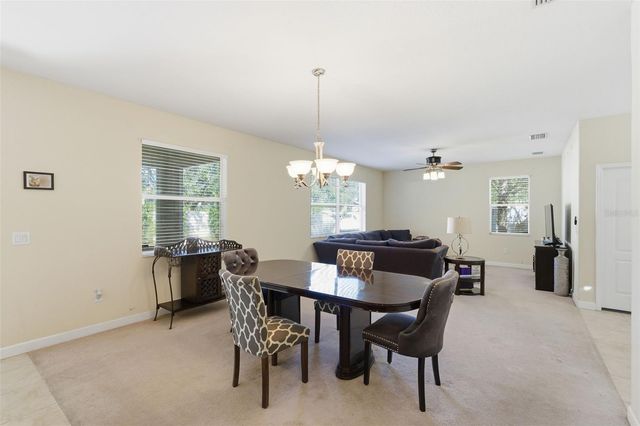 13801 CHALK HILL PLACE, Riverview, FL 33579