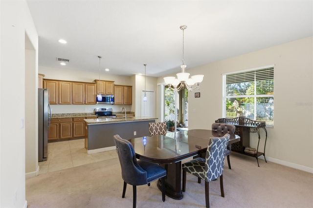 13801 CHALK HILL PLACE, Riverview, FL 33579