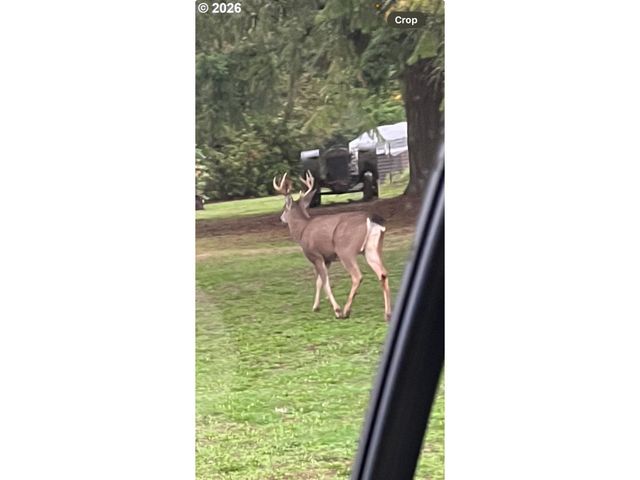 9890 Sw GRABHORN Rd, Beaverton, OR 97007