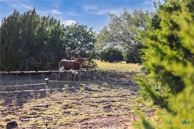 111 County Road 253, Bertram, TX 78605