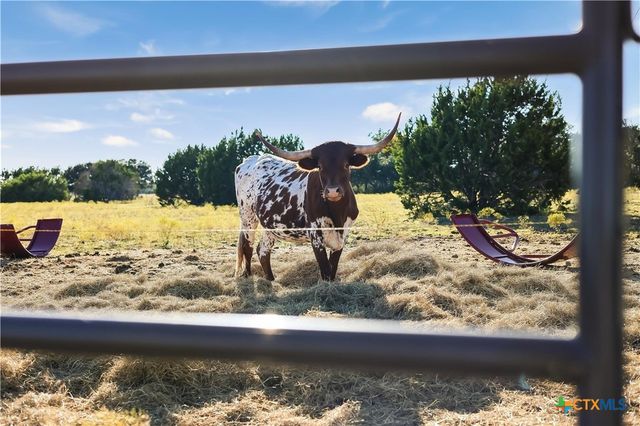 111 County Road 253, Bertram, TX 78605