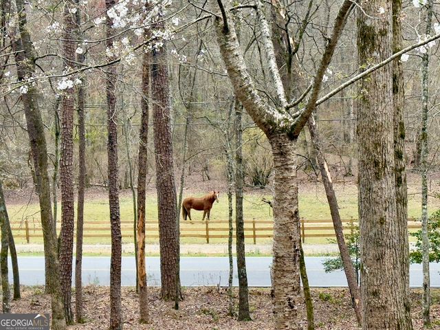 916 Sautee Trail, Sautee Nacoochee, GA 30571