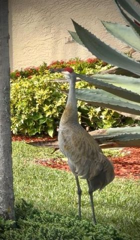 9391 Bridgeport Drive, West Palm Beach, FL 33411