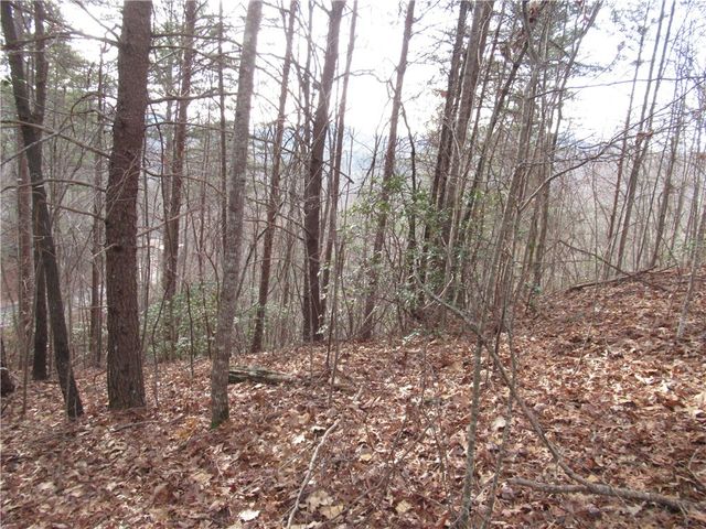 00 Lone Rock Court, Pickens, SC 29671