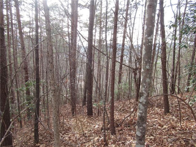 00 Lone Rock Court, Pickens, SC 29671