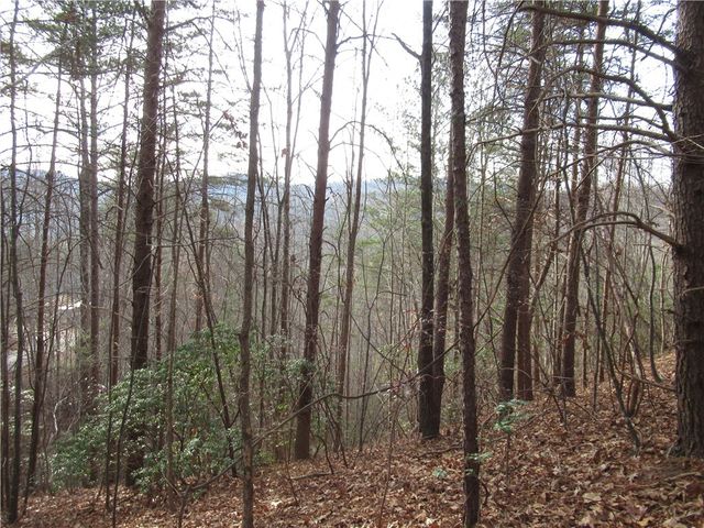 00 Lone Rock Court, Pickens, SC 29671