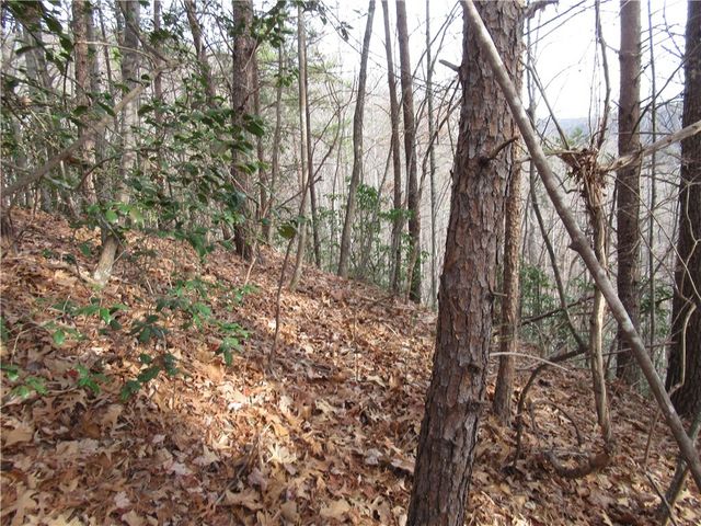 00 Lone Rock Court, Pickens, SC 29671