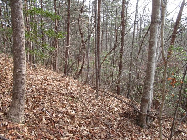 00 Lone Rock Court, Pickens, SC 29671