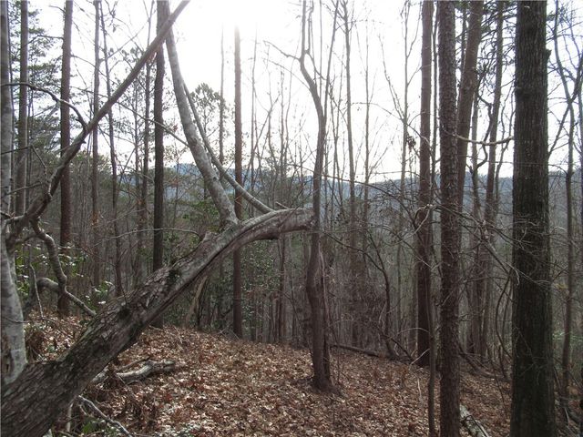 00 Lone Rock Court, Pickens, SC 29671