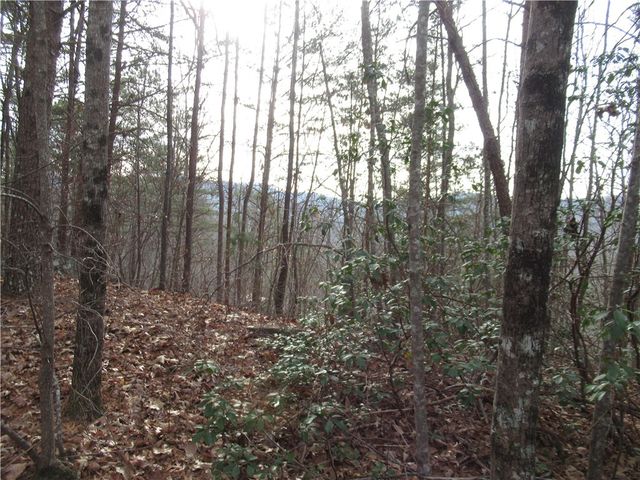 00 Lone Rock Court, Pickens, SC 29671