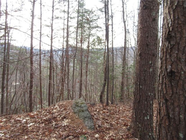 00 Lone Rock Court, Pickens, SC 29671