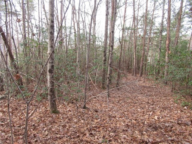 00 Lone Rock Court, Pickens, SC 29671