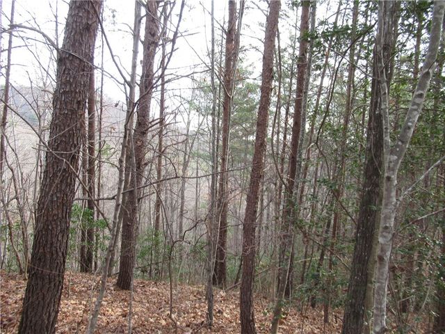 00 Lone Rock Court, Pickens, SC 29671