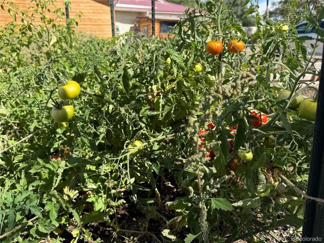 34562 State Highway 17, Antonito, CO 81120