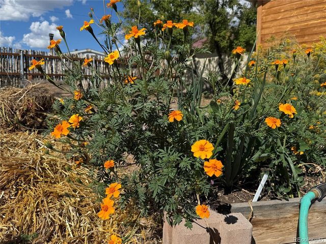 34562 State Highway 17, Antonito, CO 81120