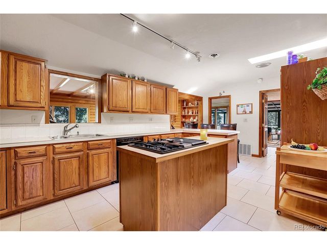 13009 S Parker Ave, Pine, CO 80470