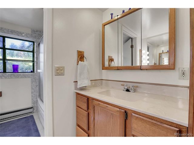 13009 S Parker Ave, Pine, CO 80470