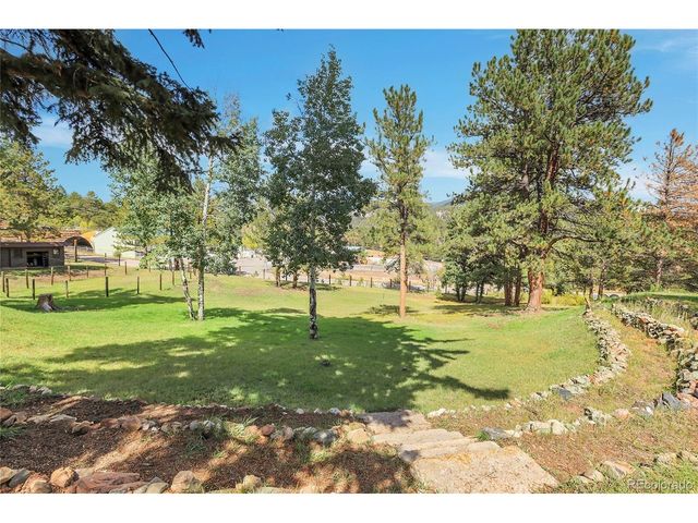 13009 S Parker Ave, Pine, CO 80470