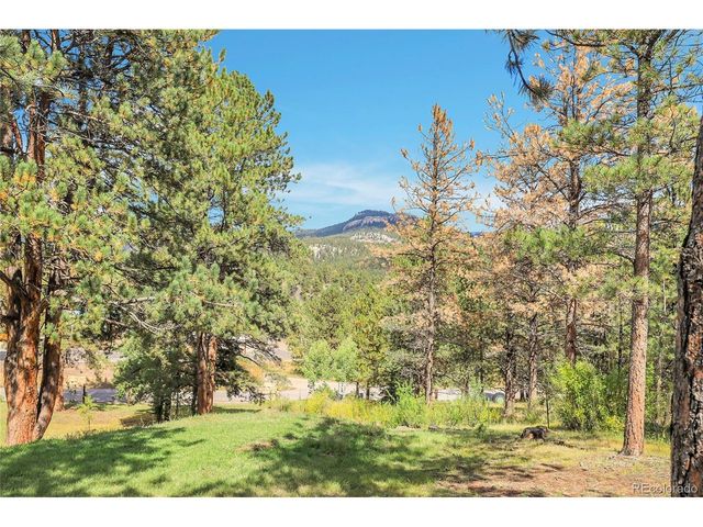 13009 S Parker Ave, Pine, CO 80470