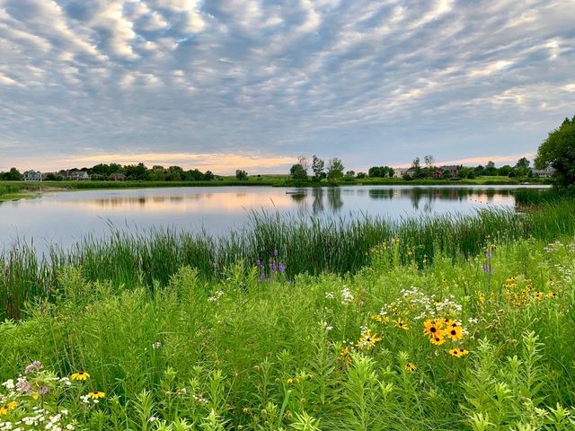 860 Blazing Star Road, Grayslake, IL 60030
