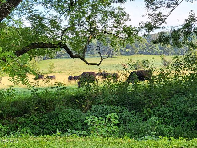 4420 Cherokee Road, Jonesborough, TN 37659