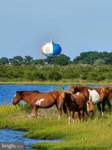 LOT 9 STEPHEN DECATUR HWY, Berlin, MD 21811