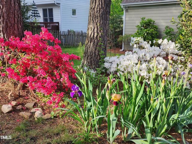 501 Samara Street, Apex, NC 27502