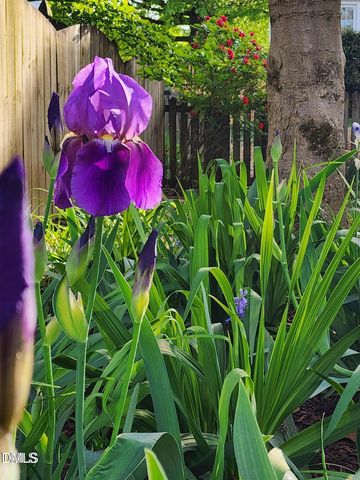 501 Samara Street, Apex, NC 27502