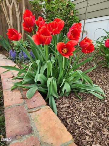 501 Samara Street, Apex, NC 27502