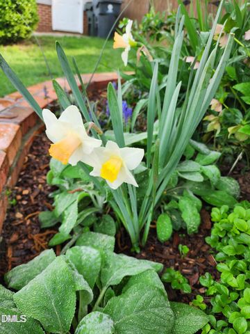 501 Samara Street, Apex, NC 27502