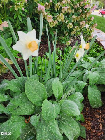 501 Samara Street, Apex, NC 27502